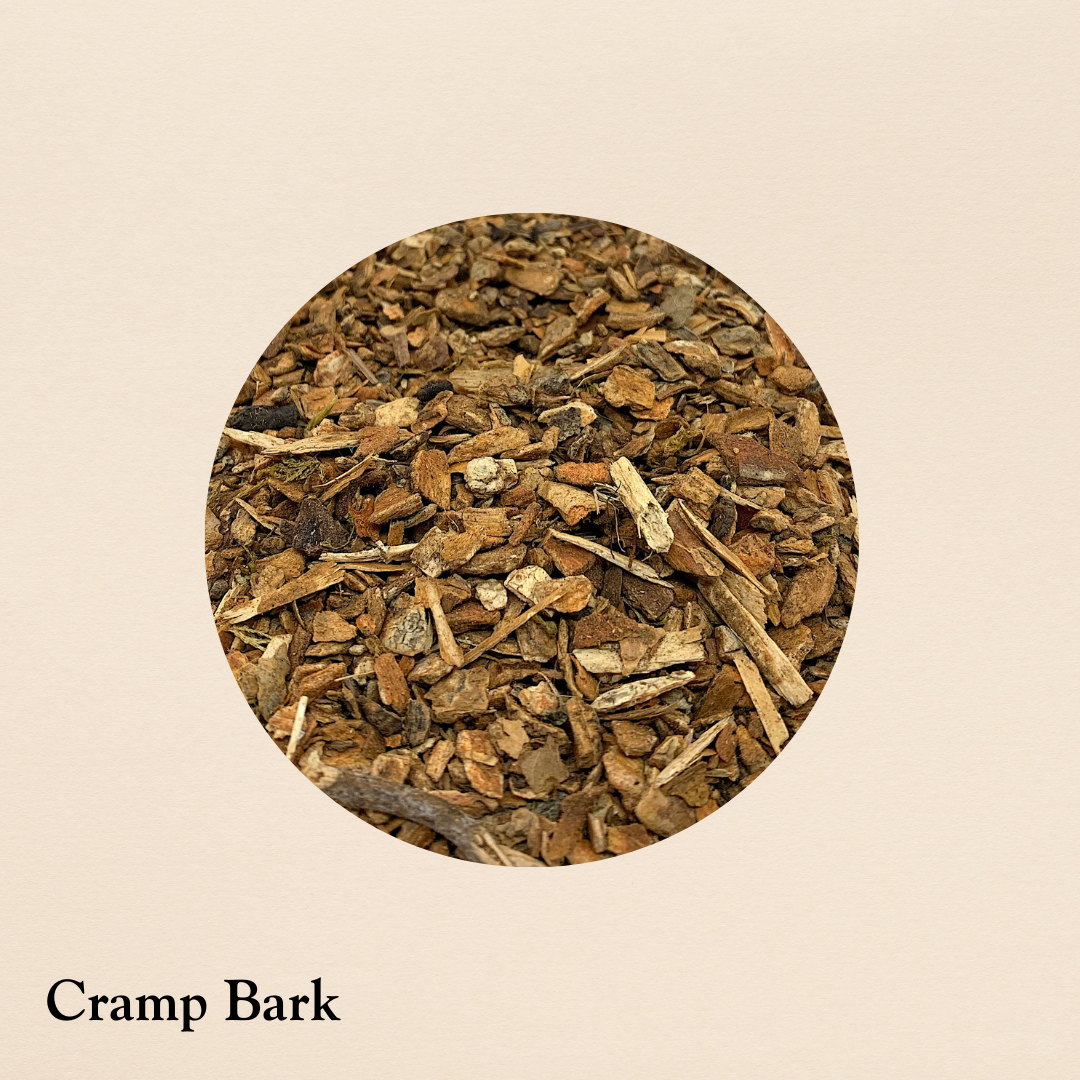 Cramp Bark (per oz.)