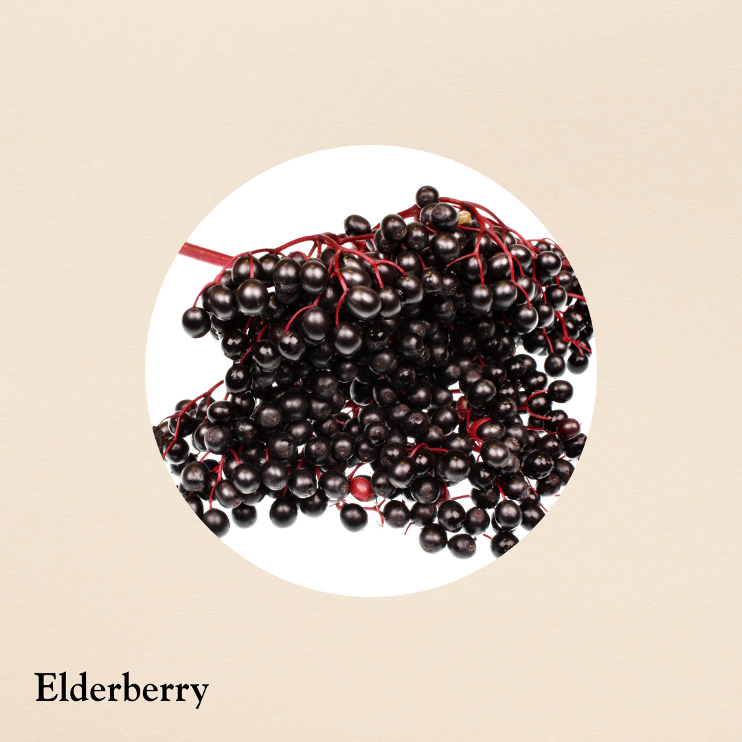 Elderberry (per oz.)