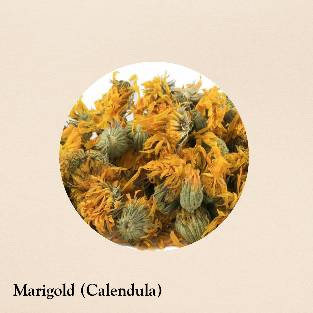 MARIGOLD (CALENDULA) (per oz.)