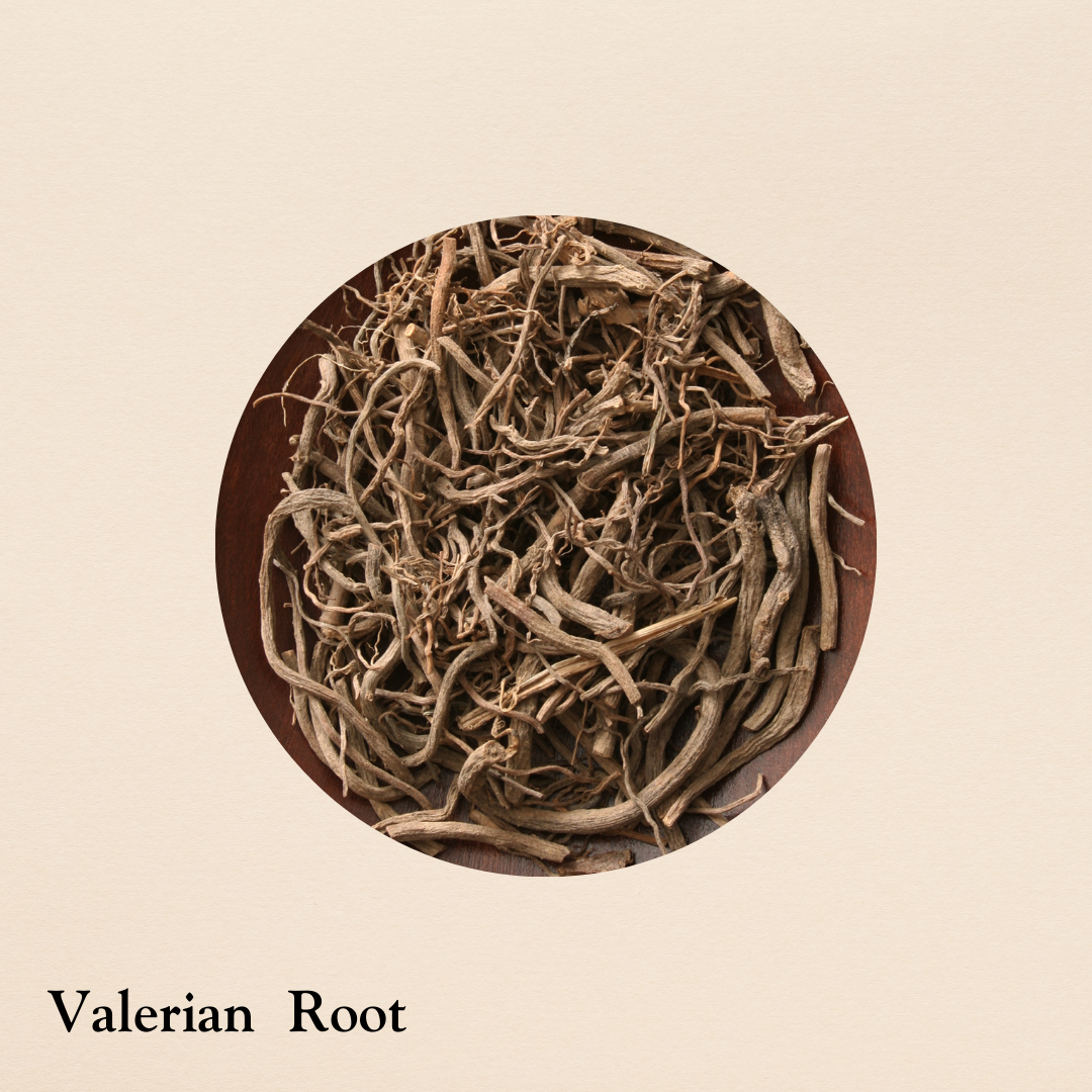 Valerian Root (per oz.)