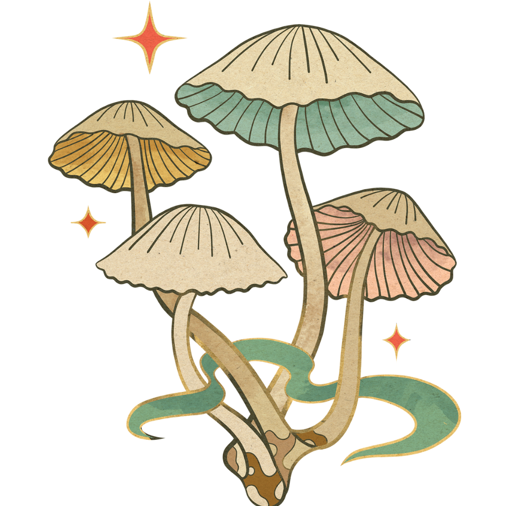 Mushroom Teas