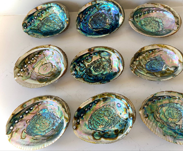 Sacred Smudging Companion: Natural Abalone Shells