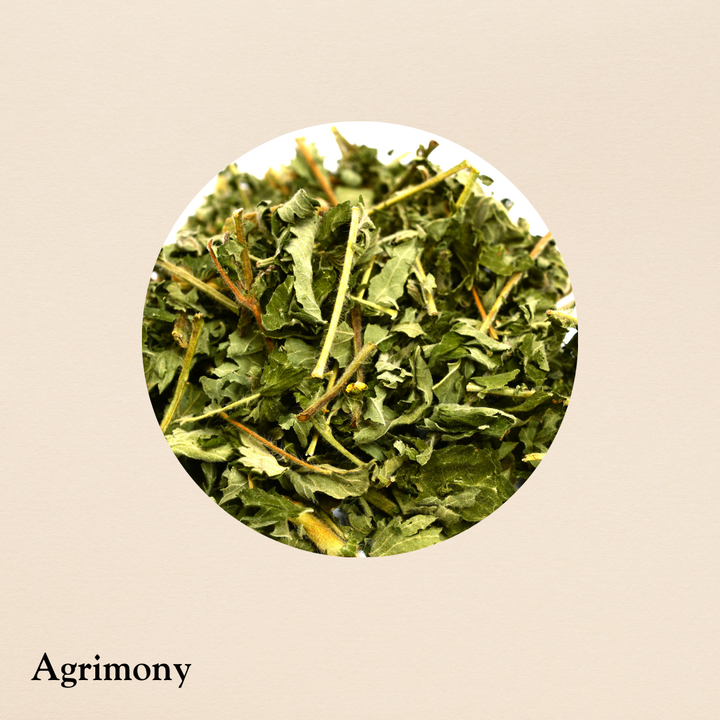 Agrimony (per oz.)