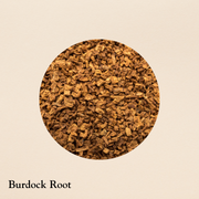Burdock Root (per oz.)