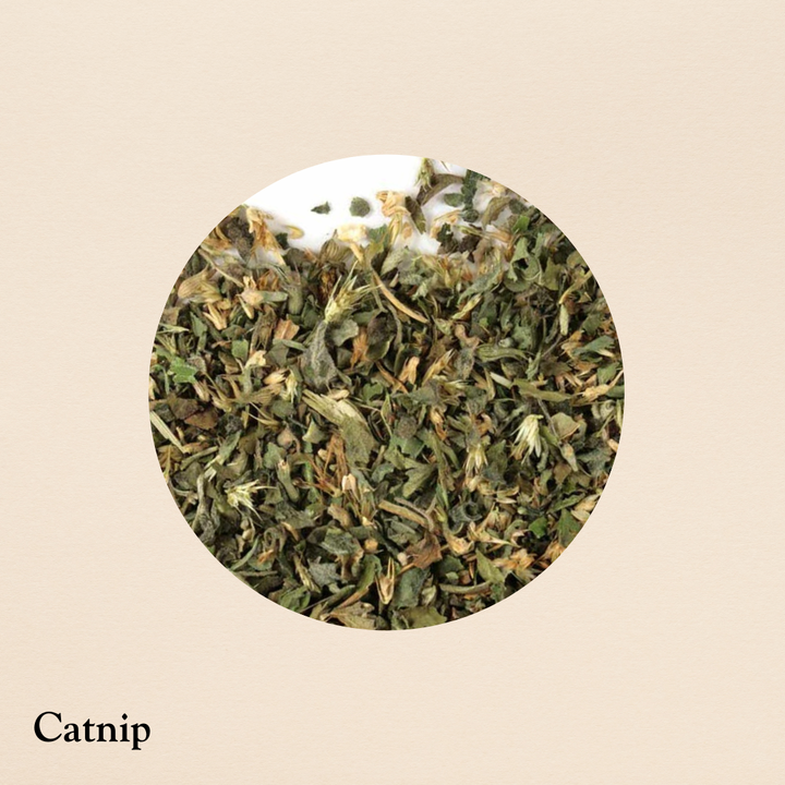 Catnip (per oz.)