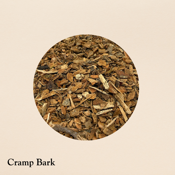 Cramp Bark (per oz.)