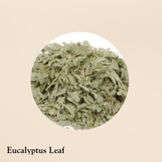 Eucalyptus Leaf (per oz.)
