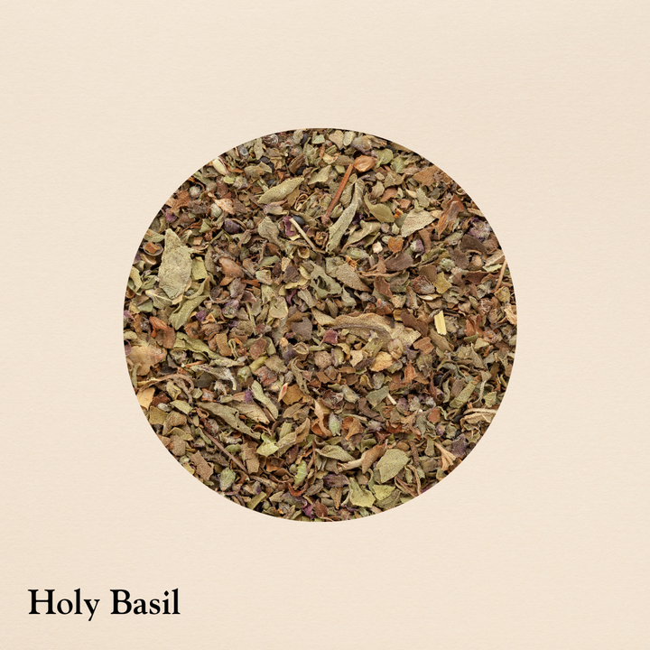 Holy Basil (per oz.)