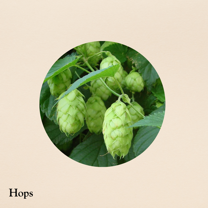 Hops (per oz.)