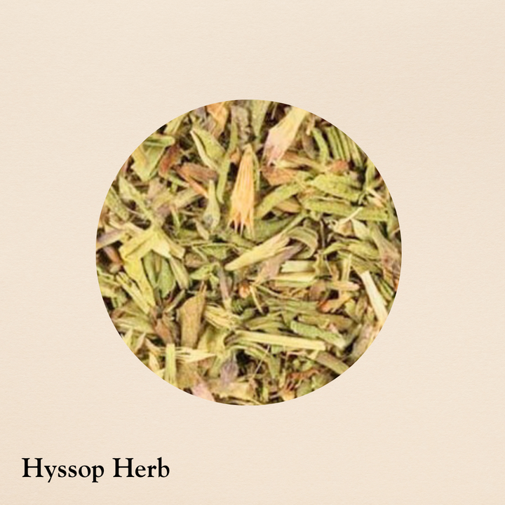 Hyssop Herb (per oz.)