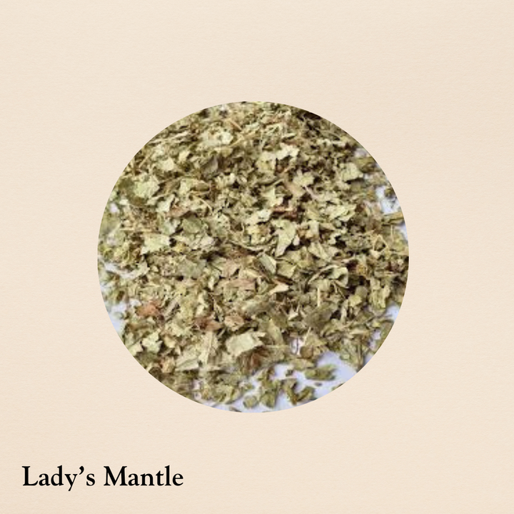 Lady's Mantle (per oz.)