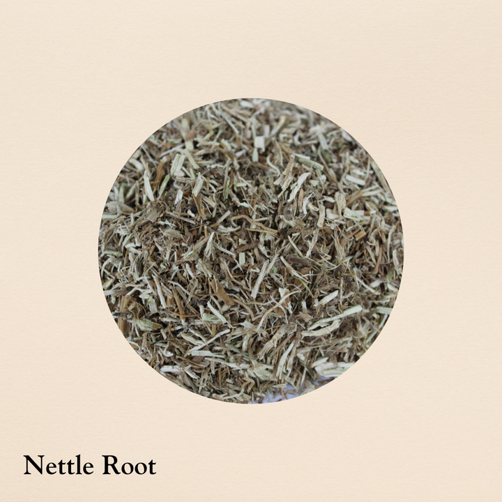 Nettle Root (per oz.)