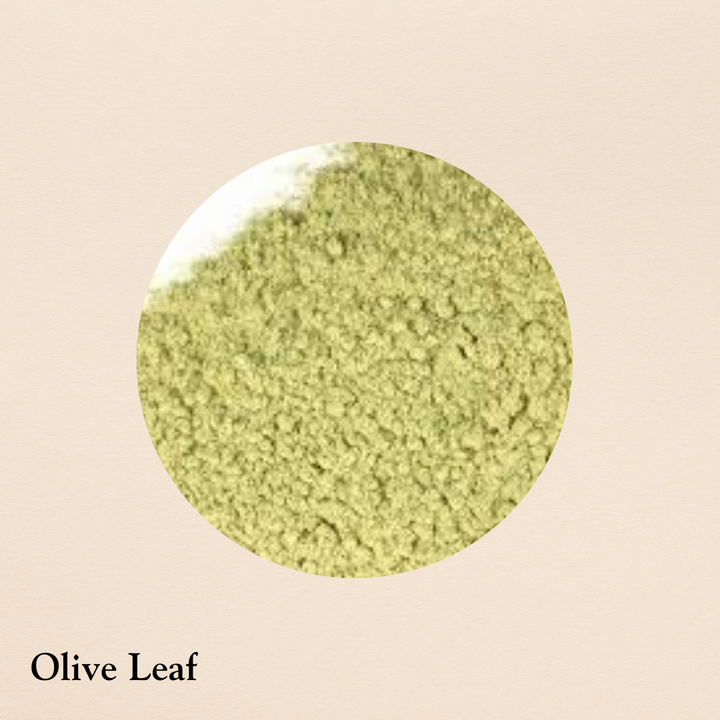 Olive Leaf Powder (per oz.)