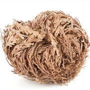 Garden Rose of Jericho Flower The Resurrection Plant (1 Rose)