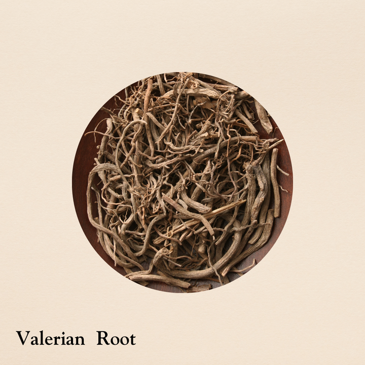 Valerian Root (per oz.)