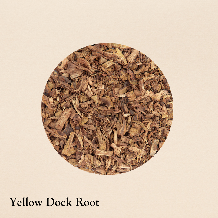 Yellow Dock Root (per oz.)