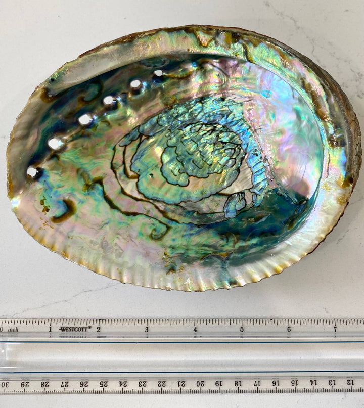 Sacred Smudging Companion: Natural Abalone Shells