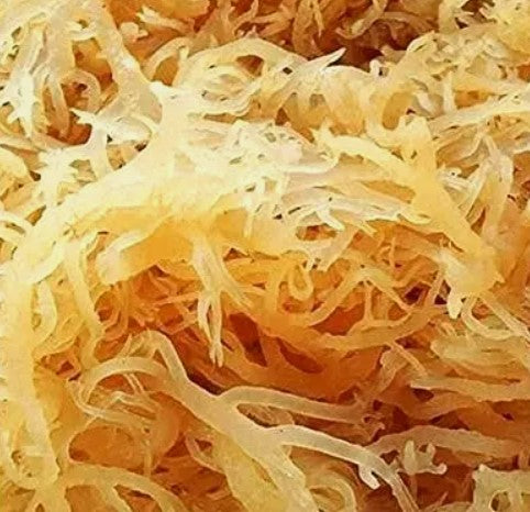 Wildcrafted Sea Moss