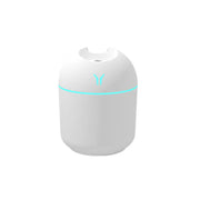 Humidifier - (small white)  1pc, Air Humidifier