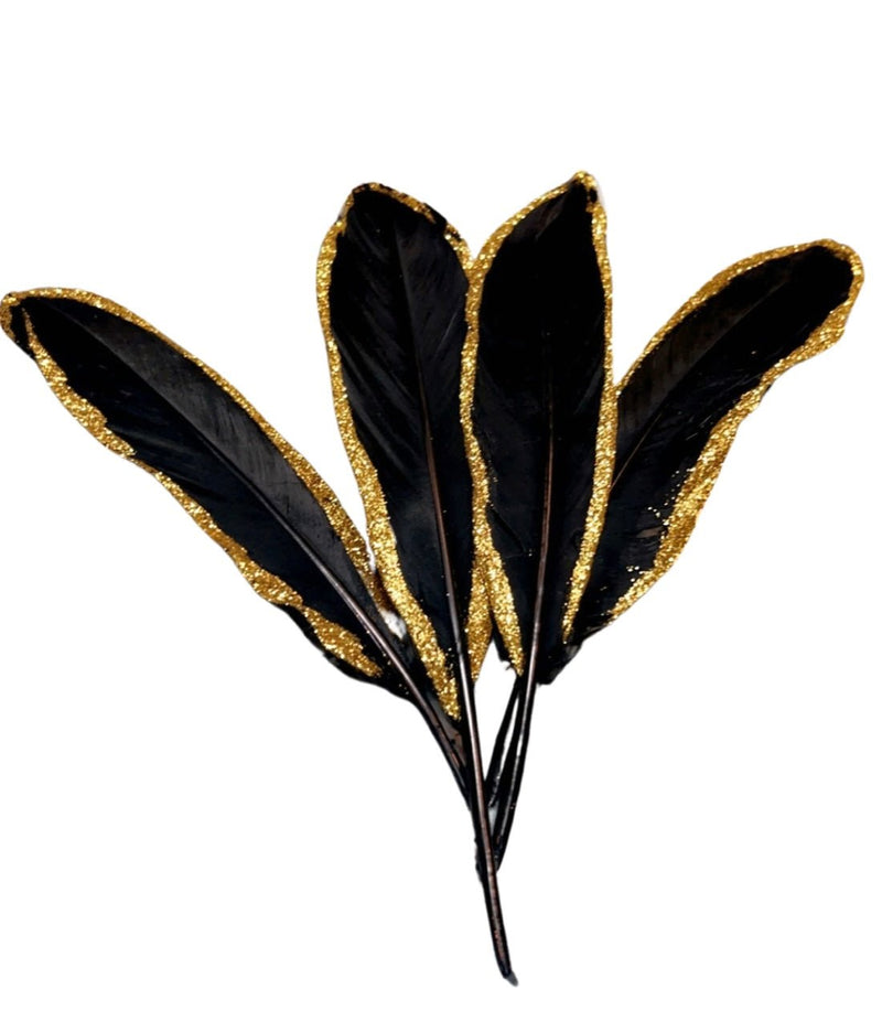 Smudging Feathers