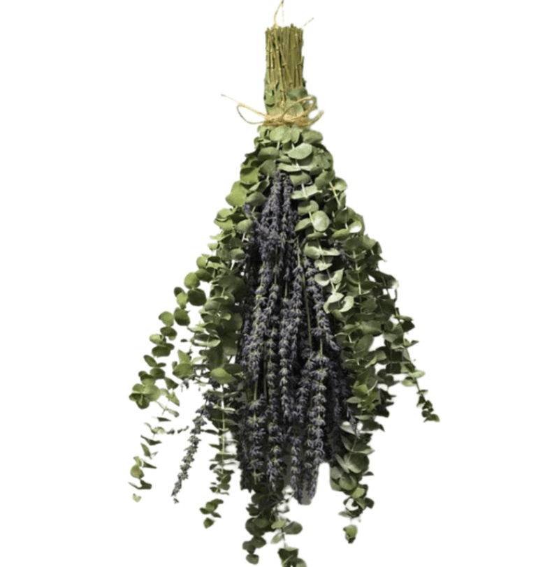 Eucalyptus & Lavender Shower Bundle