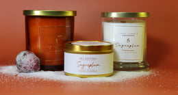 Sugarplum • Luxe Natural Coconut Wax Candle