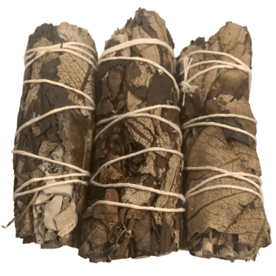 4" Yerba Santa Sage
